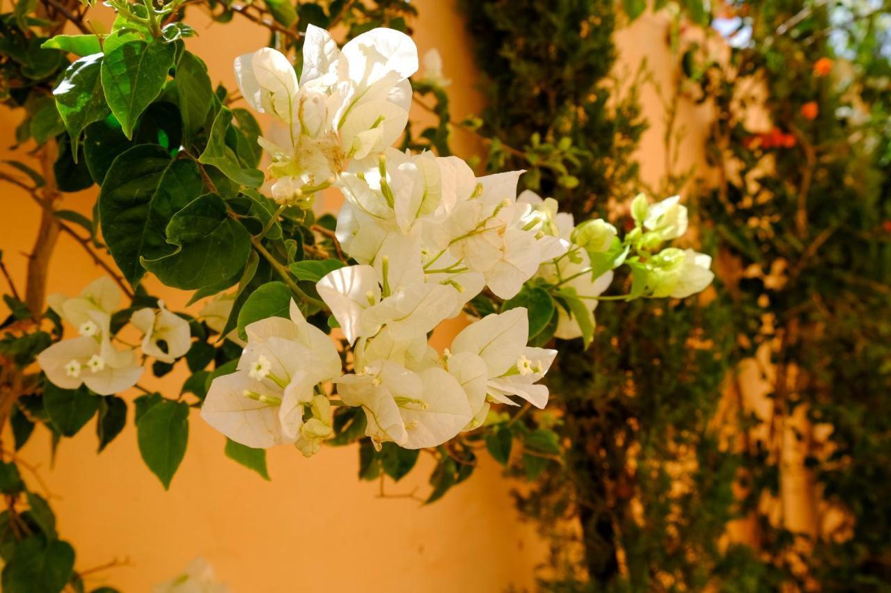 Dar Iziki Sidi Kaouki Exterior foto